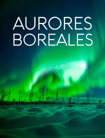 Aurores boréales