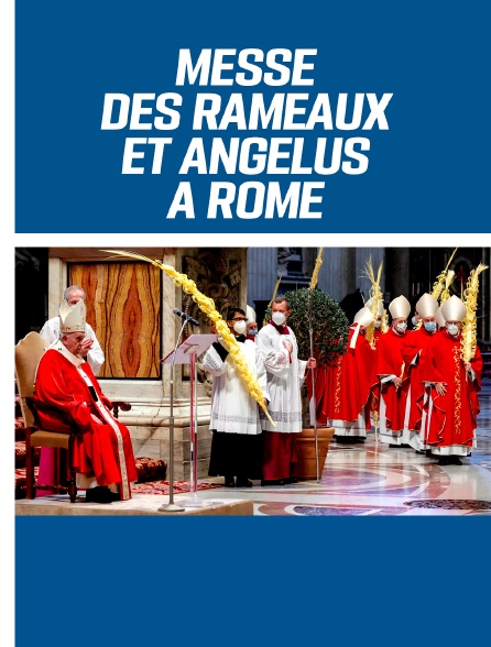 Messe des Rameaux et de la Passion du Seigneur présidée par le pape François et Angélus
