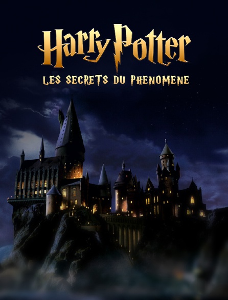 Harry Potter : les secrets du phénomène
