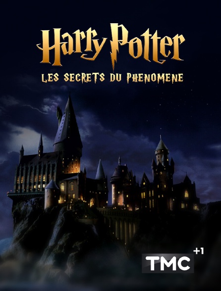 TMC +1 - Harry Potter : les secrets du phénomène