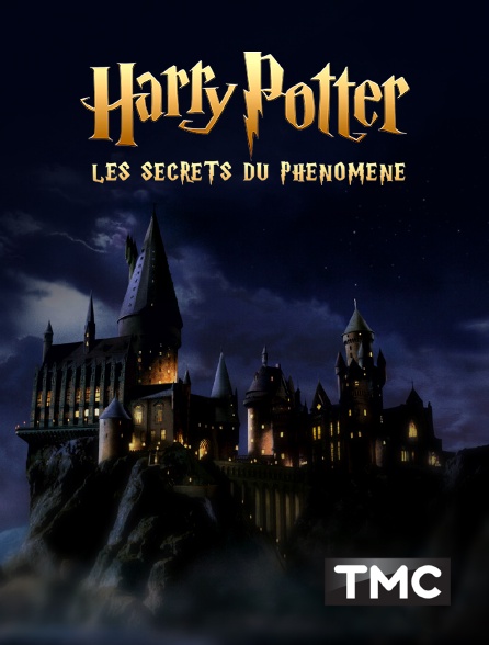 TMC - Harry Potter : les secrets du phénomène