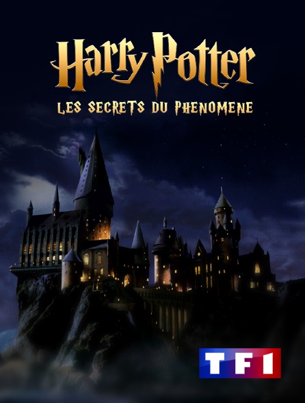 TF1 - Harry Potter : les secrets du phénomène