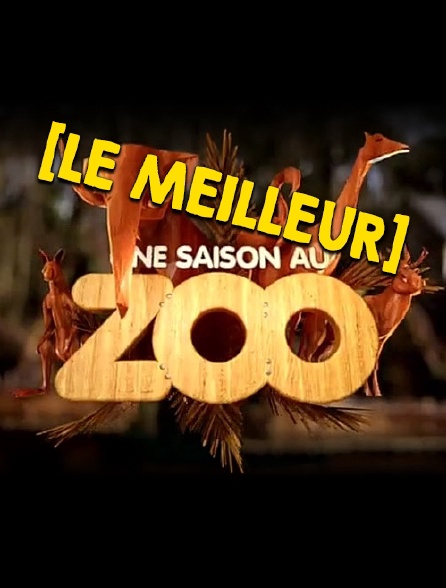 Le meilleur d'une saison au zoo