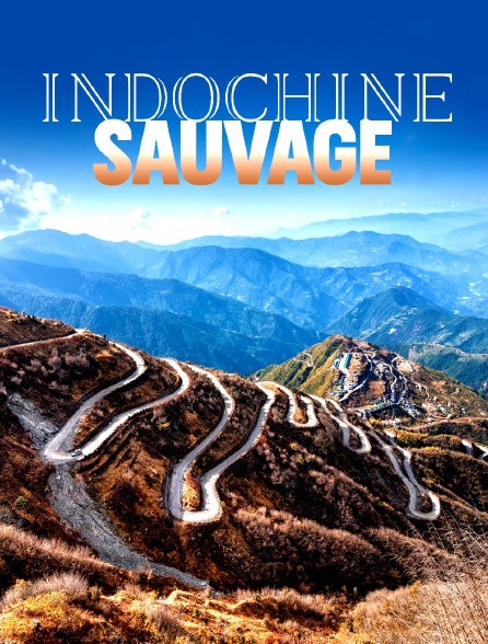 Indochine sauvage