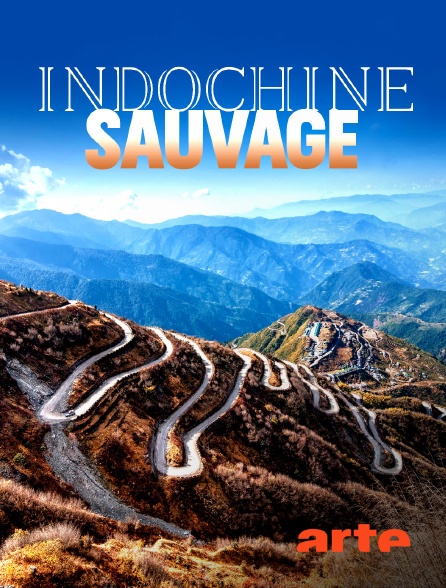 Arte - Indochine sauvage