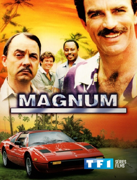 TF1 Séries Films - Magnum