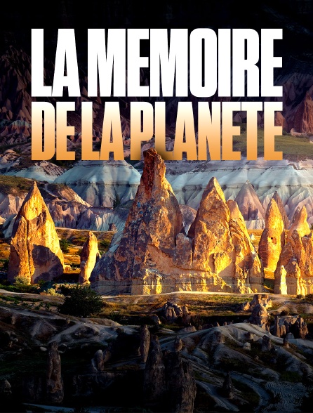 La mémoire de la planète