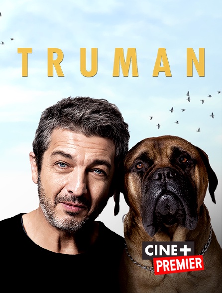 Ciné+ Premier - Truman