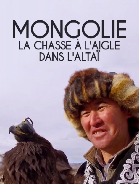 Mongolie, la chasse à l'aigle dans l'Altaï