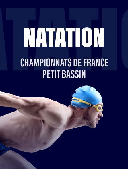 Natation - Championnats de France petit bassin