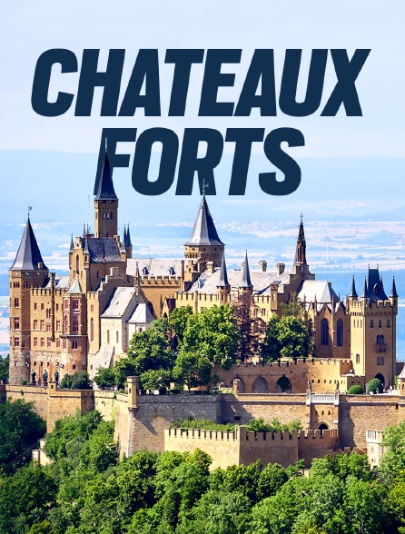 Châteaux forts