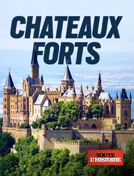 Toute l'histoire - Châteaux forts