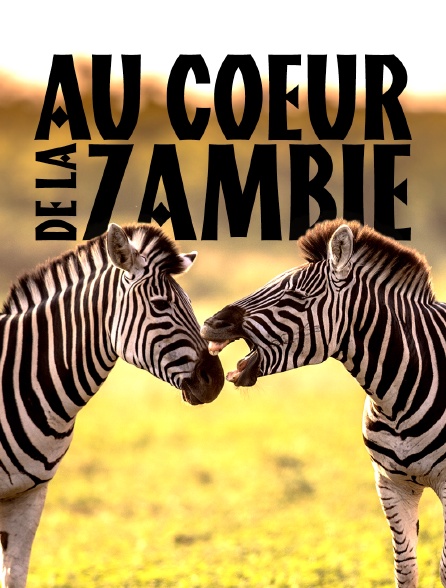 Au coeur de la Zambie