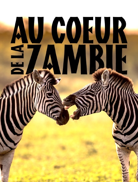 Au coeur de la Zambie