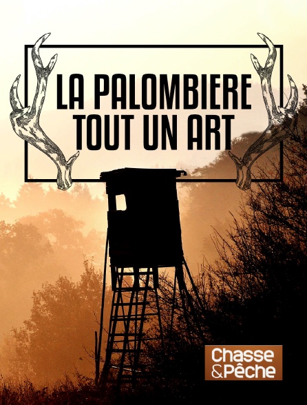 Chasse et pêche - La palombière, tout un art