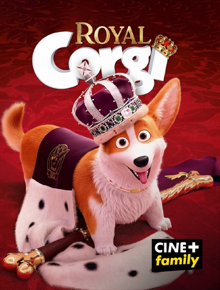 CINE+ Family - Royal Corgi