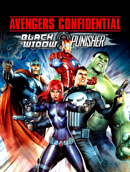 Avengers Confidential : La Veuve noire et le Punisher