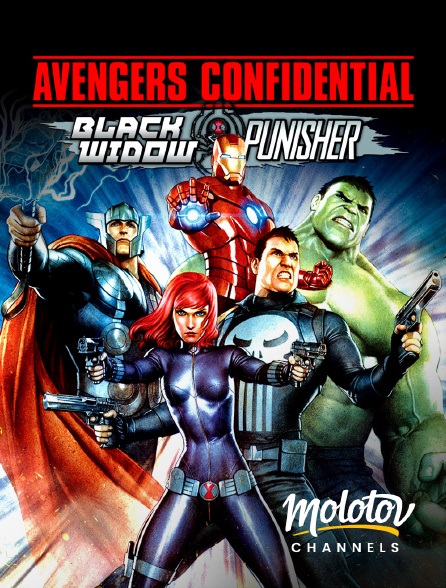 Mango - Avengers Confidential : La Veuve noire et le Punisher
