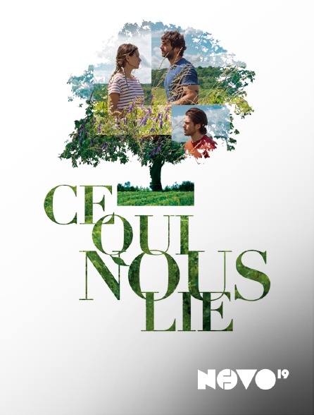 Novo 19 - Ce qui nous lie