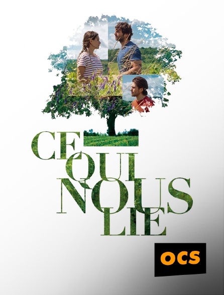 OCS - Ce qui nous lie