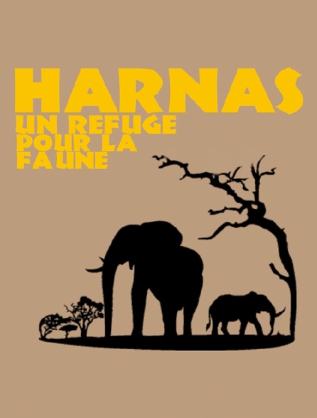 Harnas, un refuge pour la faune