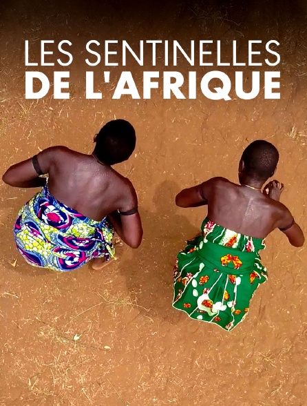 Les sentinelles de l'Afrique