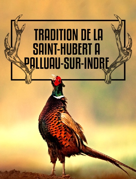 Tradition de la Saint-Hubert à Palluau-sur-Indre