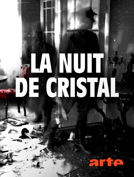 Arte - La Nuit de cristal : Les pogroms de novembre