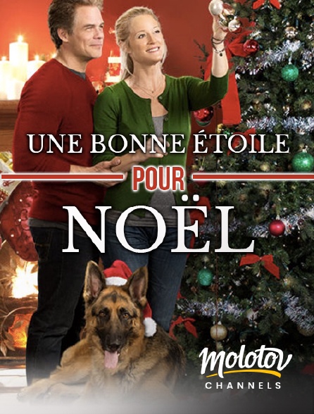 Molotov channels - Une bonne étoile pour Noël