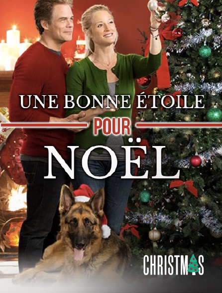 CHRISTMAS by Molotov - Une bonne étoile pour Noël