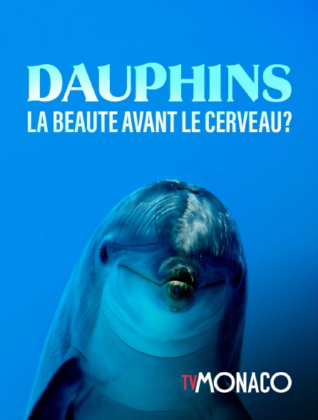 TV Monaco - Dauphins, la beauté avant le cerveau?