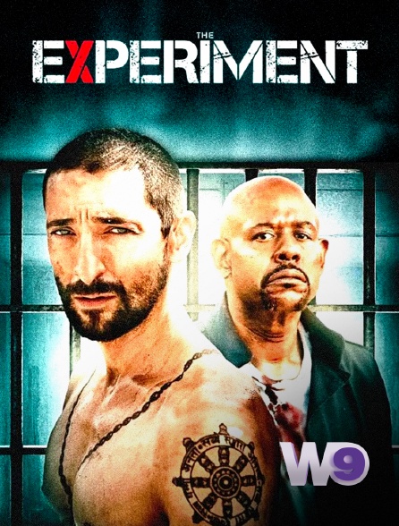 W9 - The Experiment en replay