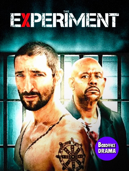 Box Office Drama - The Experiment