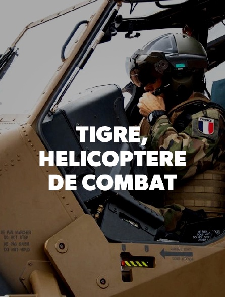 Tigre, hélicoptère de combat
