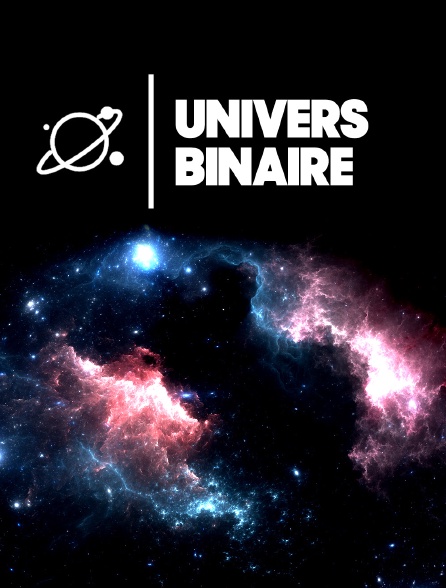 Univers binaire