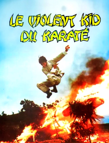 Le violent kid du karaté