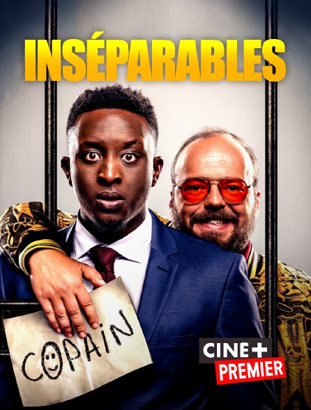 Les Inséparables Streaming Gratuit Inséparables en Streaming & Replay sur Ciné+ Premier - Molotov.tv