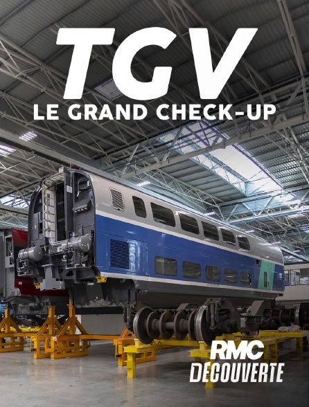 RMC Découverte - TGV : Le grand check-up