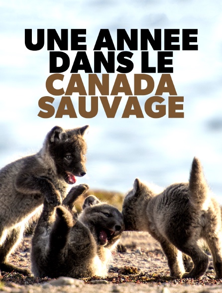 Une année dans le Canada sauvage