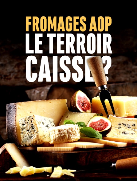 Fromages AOP : le terroir caisse ?