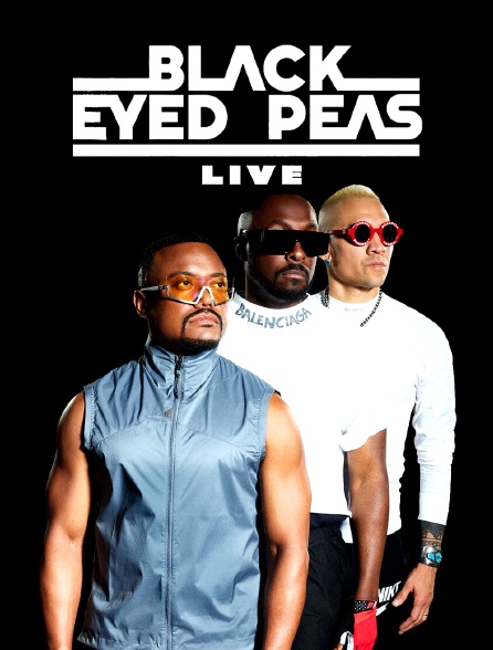 Black Eyed Peas Live : Bayfront Park Miami