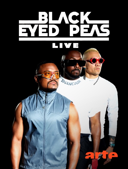 Arte - Black Eyed Peas Live : Bayfront Park Miami