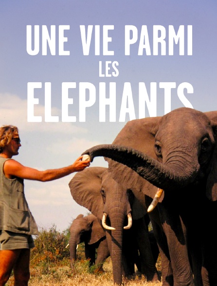 Une vie parmi les éléphants