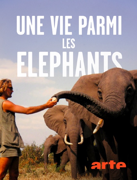 Arte - Une vie parmi les éléphants