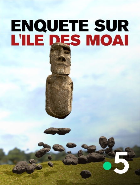 France 5 - Enquête sur l'île des moaï