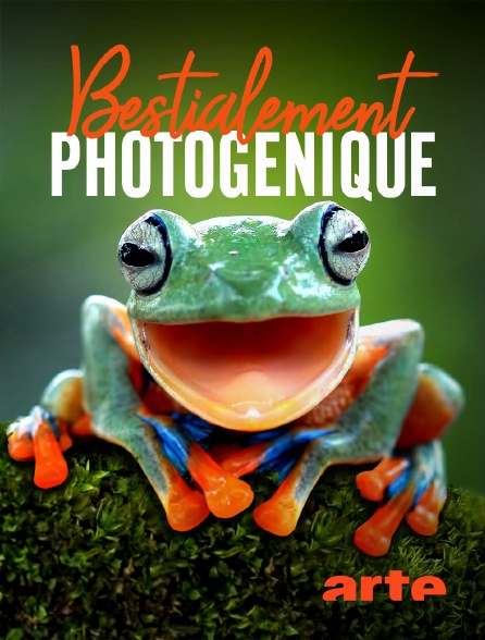 Arte - Bestialement photogénique