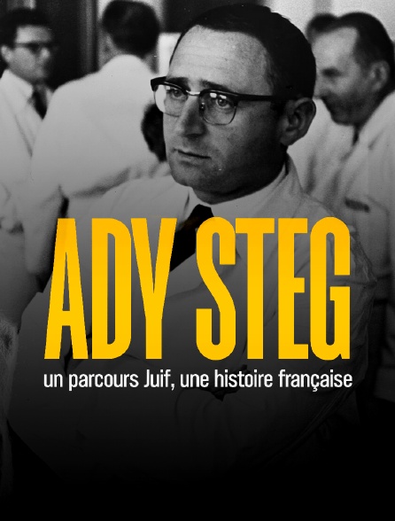 Ady Steg, un parcours juif, une histoire française