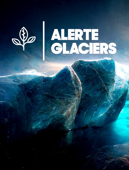 Alerte glaciers