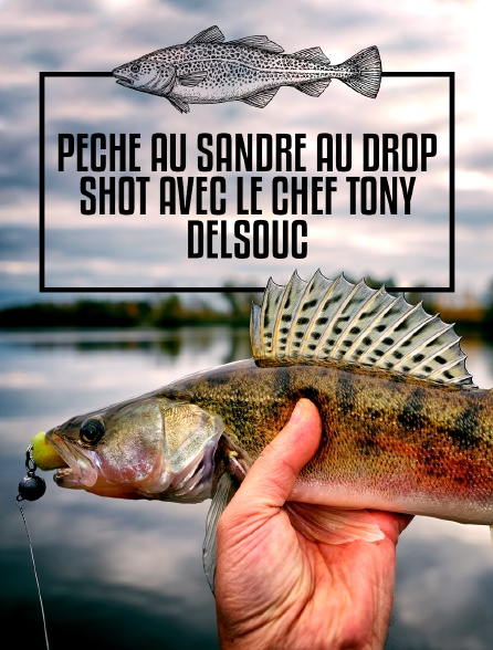 Pêche au sandre au drop shot avec le chef tony delsouc