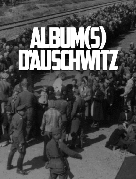 Album(s) d'Auschwitz